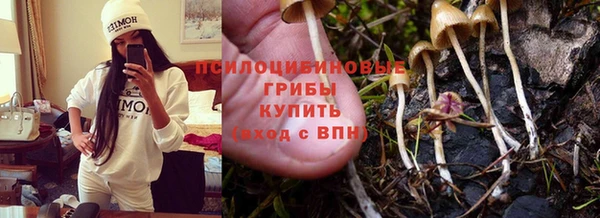 мескалин Белокуриха