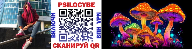 мега рабочий сайт  как найти наркотики  Верея  Псилоцибиновые грибы Psilocybine cubensis 